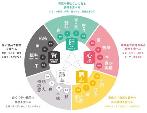 木剋土性格|【木剋土 意味】木剋土的深層含義：揭開五行相剋的奧秘